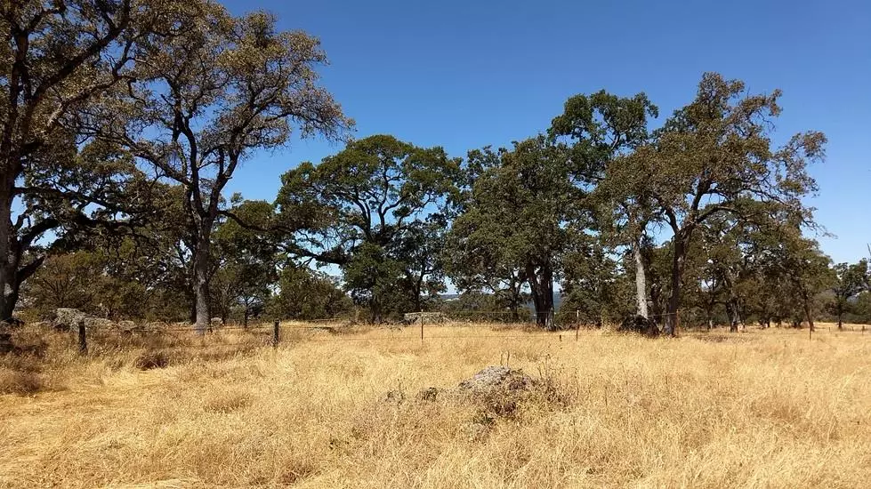 2 Crystal BLVD, El Dorado, CA 95623