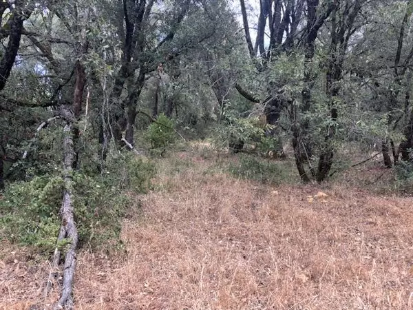 Glencoe, CA 95232,16272 Highway 26