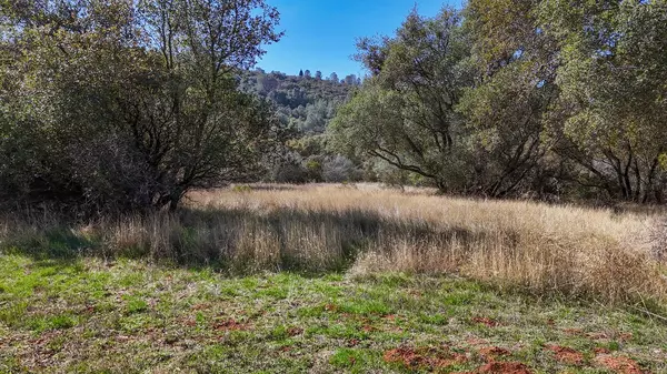 Rescue, CA 95672,0 Deer Valley