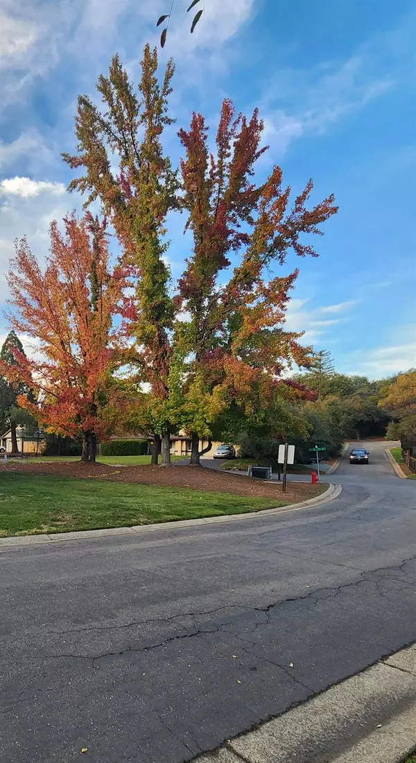 Cameron Park, CA 95682,3342 Village CT