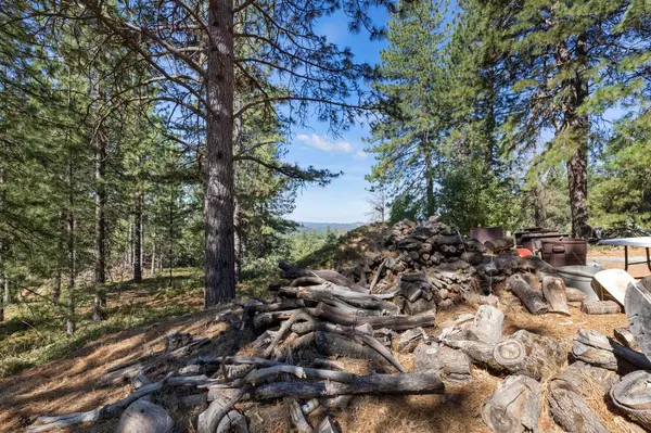 Pioneer, CA 95666,25251 Canterbury RD