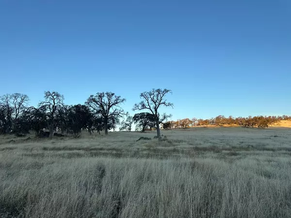 Smartsville, CA 95977,7329 Hammonton Smartsville RD