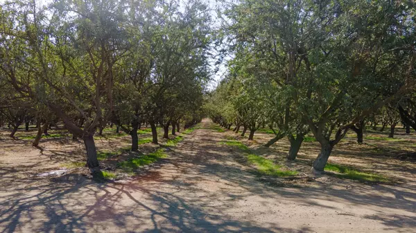 Le Grand, CA 95333,13699 E Buchanan Hollow Rd