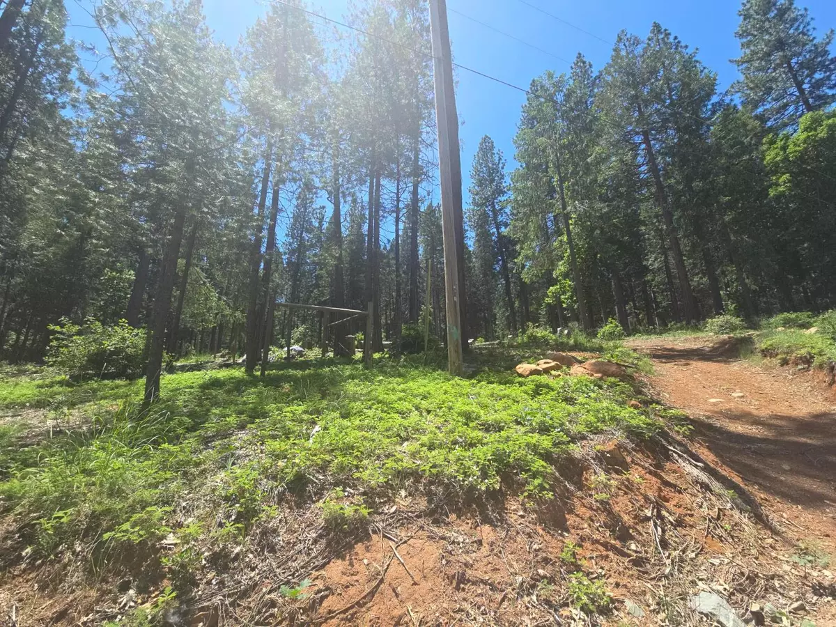 Nevada City, CA 95959,12181 Robust WAY