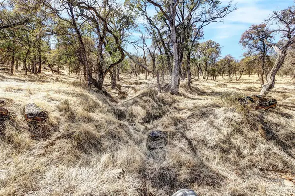 Browns Valley, CA 95918,37 Stern LN