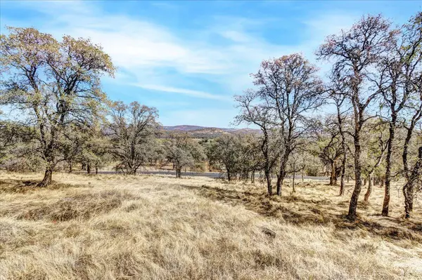 Browns Valley, CA 95918,37 Stern LN