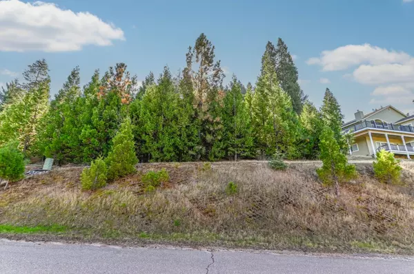 Pioneer, CA 95666,26250 Spyglass CT