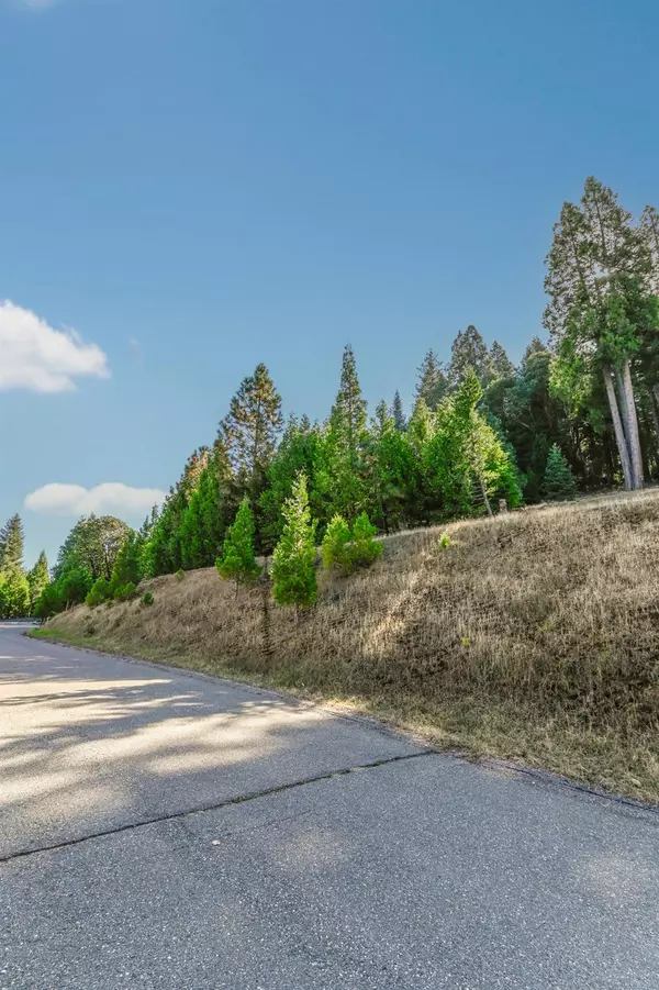 Pioneer, CA 95666,26250 Spyglass CT