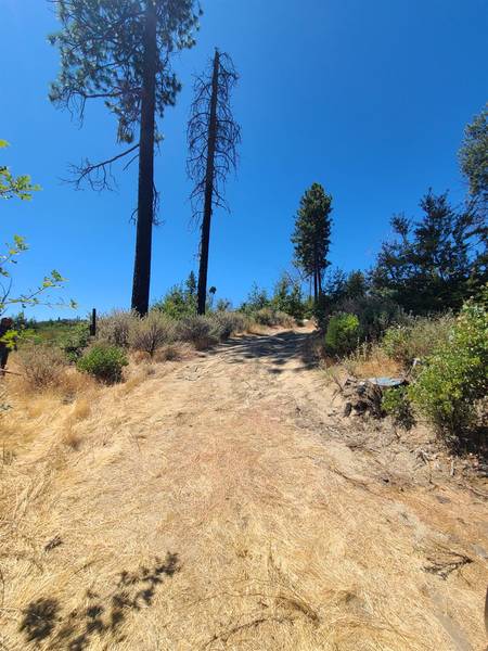 0 HOG RANCH ROAD, Concow, CA 95965