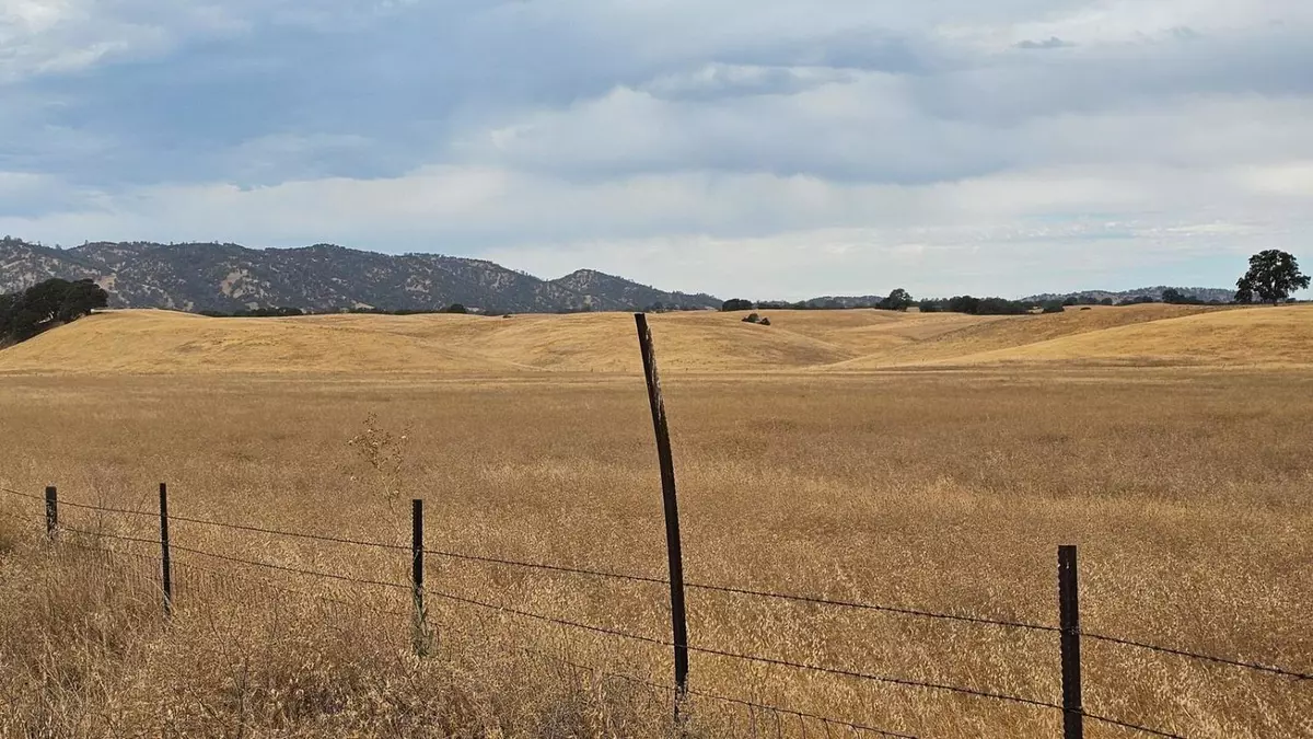 Dunnigan, CA 95937,11 W County Road 11