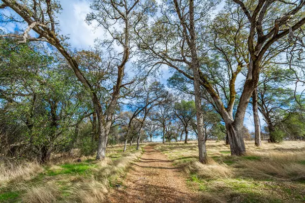 Grass Valley, CA 95949,21694 Cricket DR