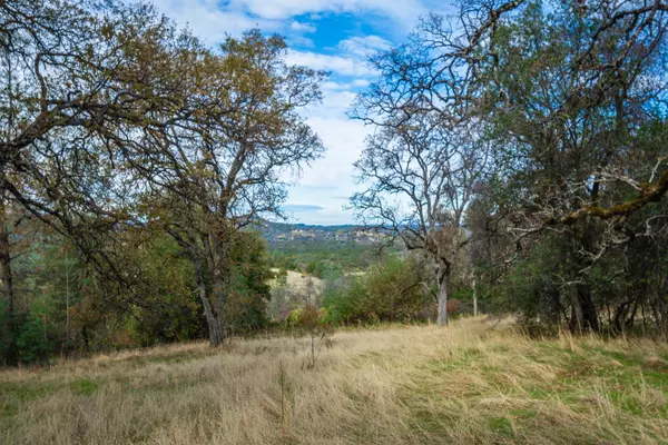 Grass Valley, CA 95949,21694 Cricket DR