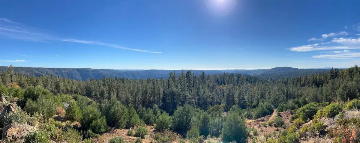 Gold Run, CA 95717,31180 Knob Cone RD