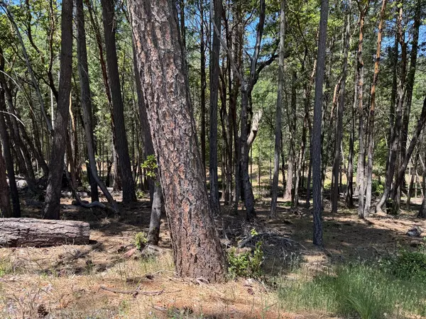 Foresthill, CA 95631,20955 Todd Valley RD