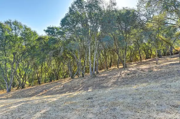 El Dorado Hills, CA 95762,6084 Western Sierra WAY