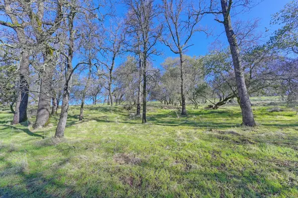El Dorado Hills, CA 95762,6594 Western Sierra WAY