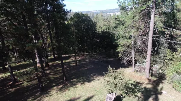 Diamond Springs, CA 95619,4617 Ringold RD