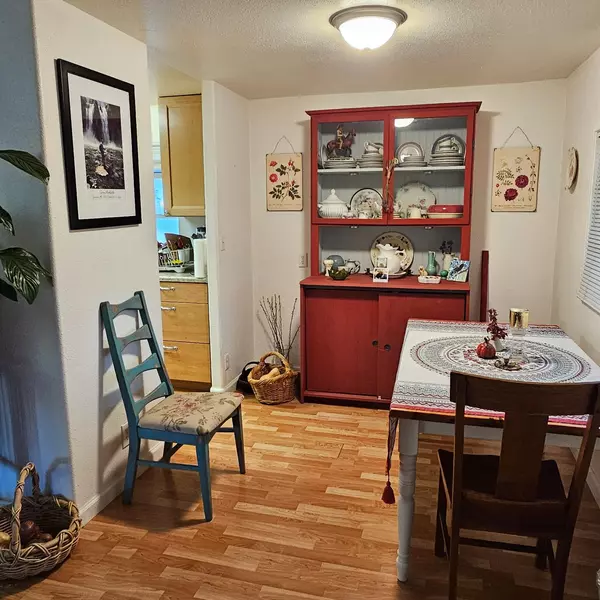 Colfax, CA 95713,450 Gladycon RD #32