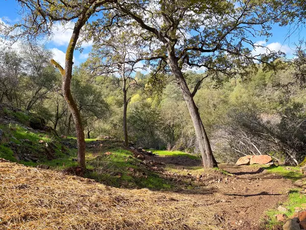 Shingle Springs, CA 95682,0 Lorrain ST