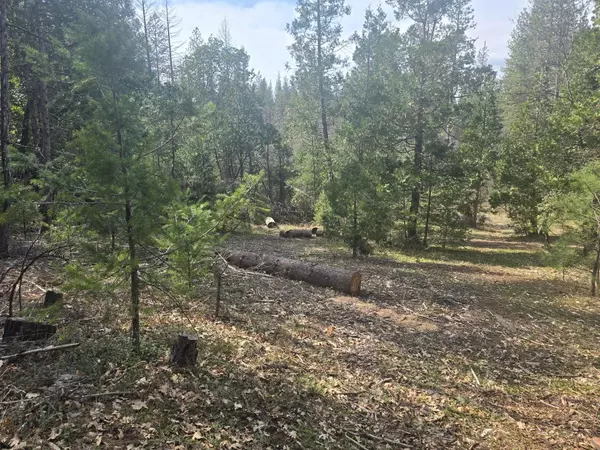 Nevada City, CA 95959,16633 Azurite CT