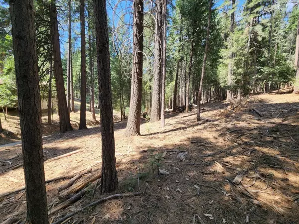 Pollock Pines, CA 95726,0 Juarez RD