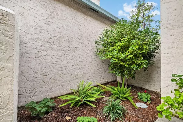 Chico, CA 95926,311 Mission Serra TER