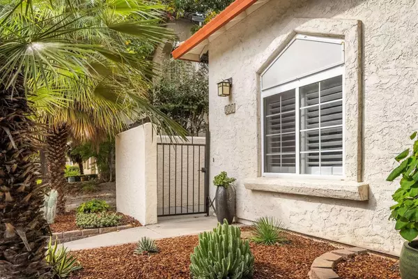 Chico, CA 95926,311 Mission Serra TER