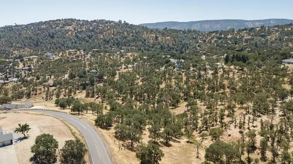 Copperopolis, CA 95228,1405 Cheyenne RD