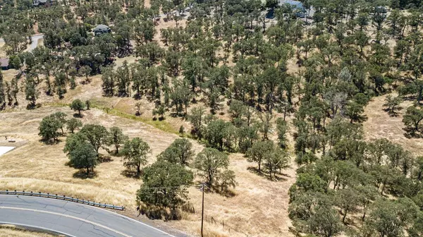 Copperopolis, CA 95228,1375 Cheyenne Rd