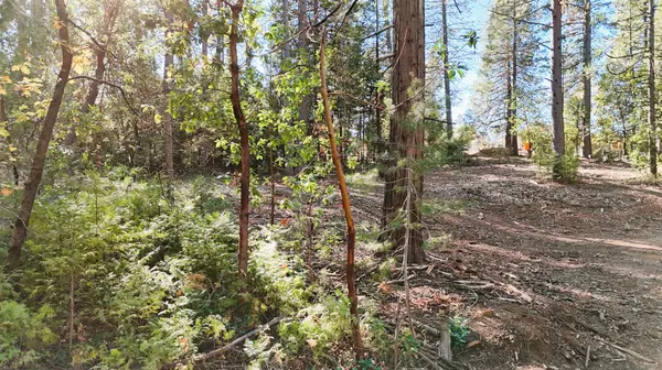 Nevada City, CA 95959,13492 Gracie RD