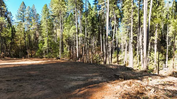 Nevada City, CA 95959,13492 Gracie RD