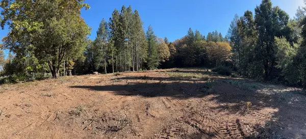 Colfax, CA 95713,0 Steamers Ravine RD