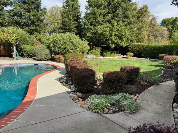 Alamo, CA 94507,311 David DR