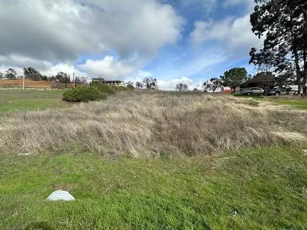 Copperopolis, CA 95228,2903 Quail Hill RD