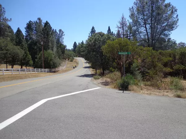 Shingletown, CA 96088,0 Black Butte Rd