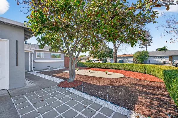 Fremont, CA 94538,39511 Pardee CT