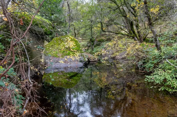 Grass Valley, CA 95949,18300 Little Mustang CT