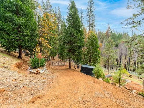 Grizzly Flats, CA 95636,5194 Woodhaven DR