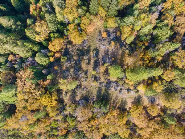 Pollock Pines, CA 95726,0 APN#077-021-032-000