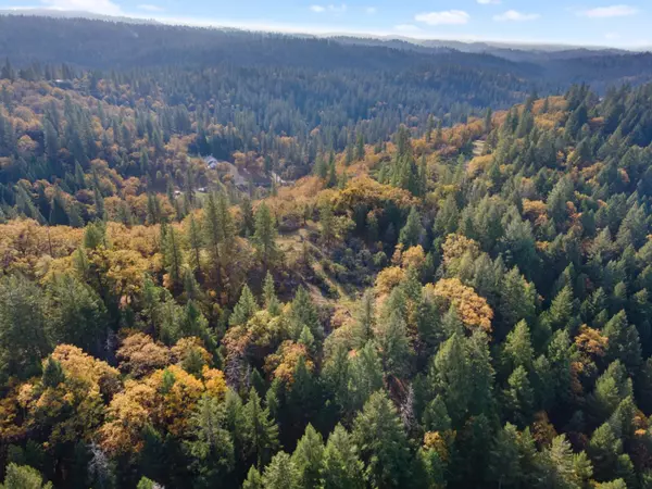 Pollock Pines, CA 95726,0 APN#077-021-035-000