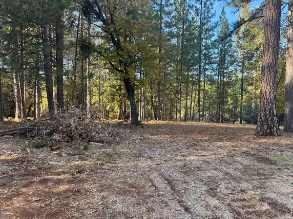 Foresthill, CA 95631,6364 Green Leaf LN