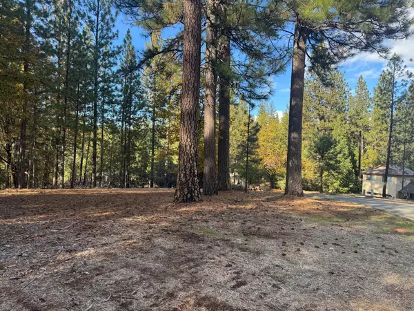 Foresthill, CA 95631,6364 Green Leaf LN