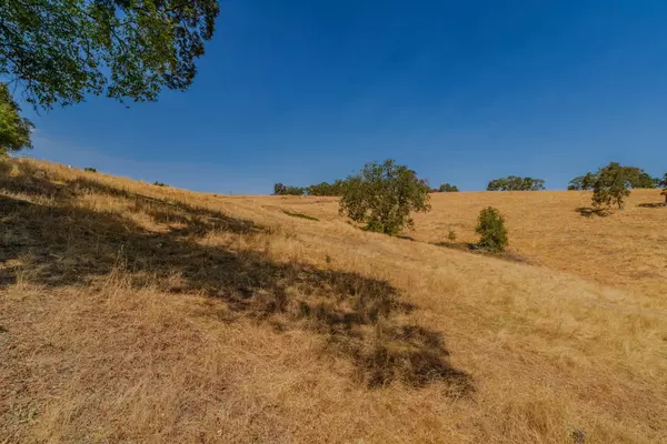 Sutter Creek, CA 95685,D David Drive