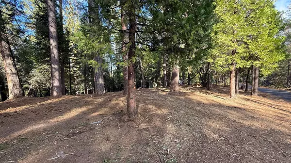 Pioneer, CA 95666,19045 Pine DR