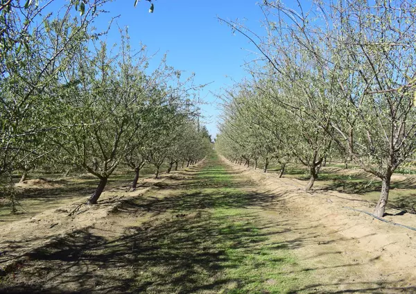 Winton, CA 95388,4610 Oakdale RD