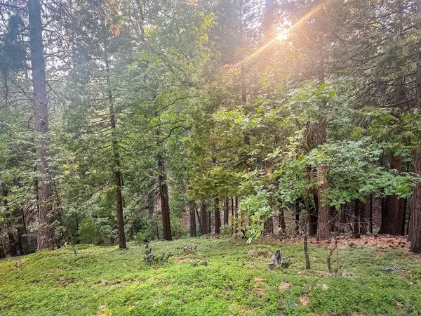 Arnold, CA 95223,1800 Kit Carson CIR