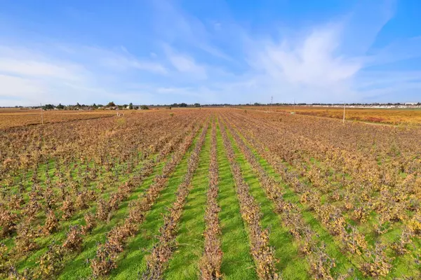 Lodi, CA 95242,481 W Highway 12