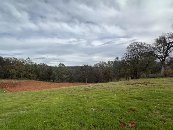 Auburn, CA 95602,223 DARKHORSE DR