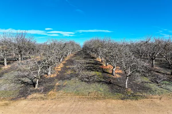 Madera, CA 93638,0 Avenue 20