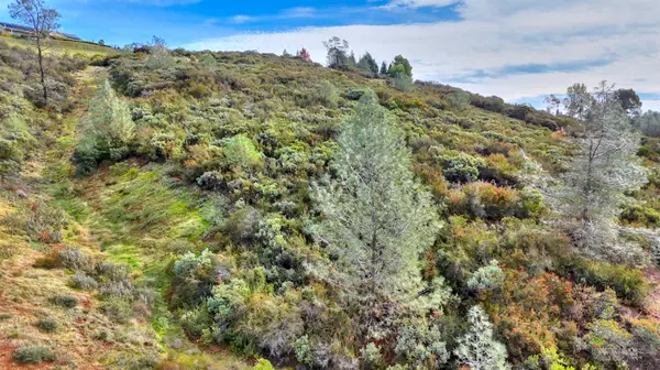 Cameron Park, CA 95682,0 Rancho Tierra Ct